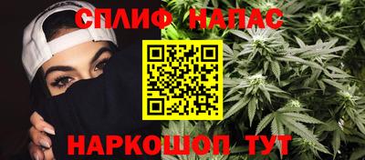 индика Мариинск