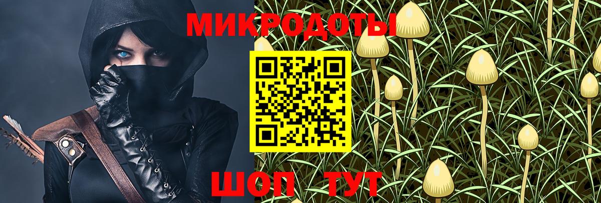 Галлюциногенные грибы Psilocybe  Псилоцибиновые грибы мухоморы  Вход с VPN  где продают наркотики  Черняховск 