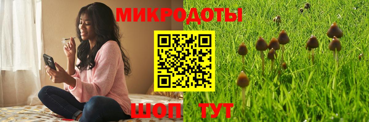 Псилоцибиновые грибы ЛСД Черняховск